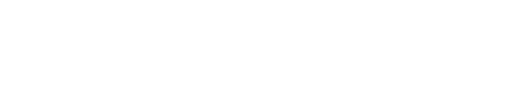 accelerai ai agency and consultancy